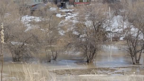 Śniegu wiosna nad rzeką, w kwietniu — Wideo stockowe