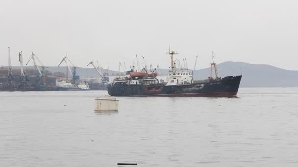 Vracht vrachtschip in harbor terminal, time-lapse. — Stockvideo