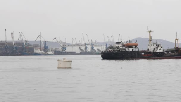 Cargo freight ship at harbor terminal, time lapse. — Stock Video