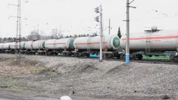 Tren de mercancías que viaja en el ferrocarril — Vídeo de stock