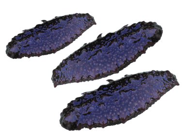 trepang (holothuroidea, stychopus, cucumaria), deniz omurgasız