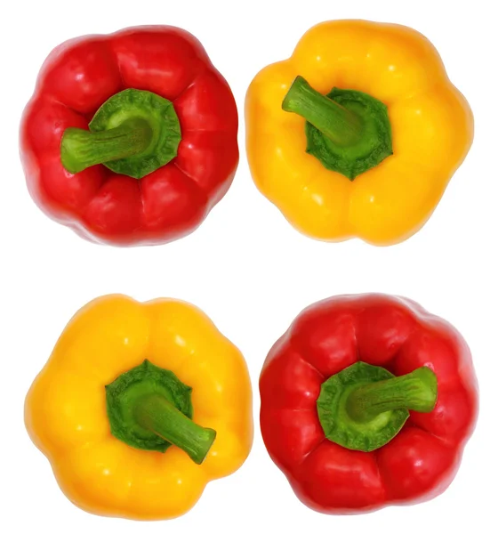 Top view, red and yellow sweet bell pepper isolated on white ba — Stock Photo, Image