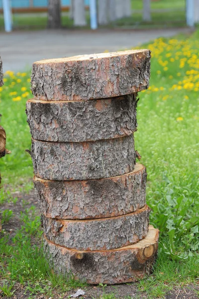 Sección transversal del tronco del árbol que muestra anillos de crecimiento — Foto de Stock