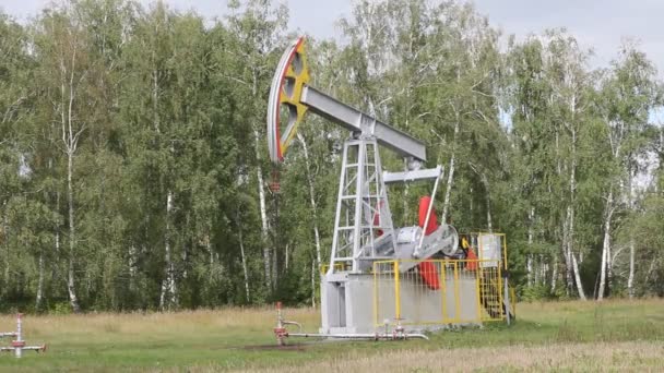 Oil pump working in the forest. Oil industry equipment. — Wideo stockowe