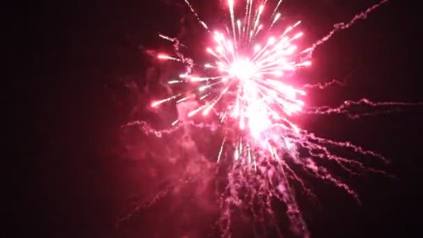 Fuegos artificiales nocturnos en el cielo para unas vacaciones . — Vídeos de Stock