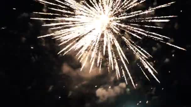 Fuegos artificiales nocturnos en el cielo para unas vacaciones . — Vídeos de Stock