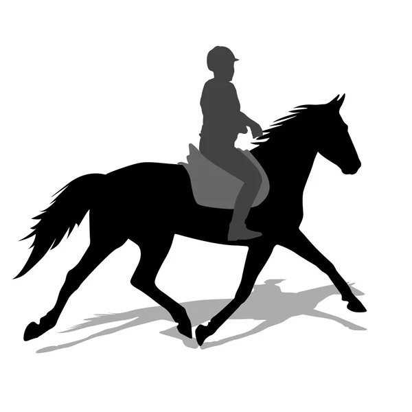 Silhouette of horse and jockey — Stockfoto