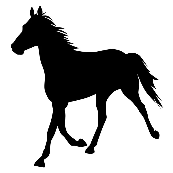 Silhouette de Cheval — Photo