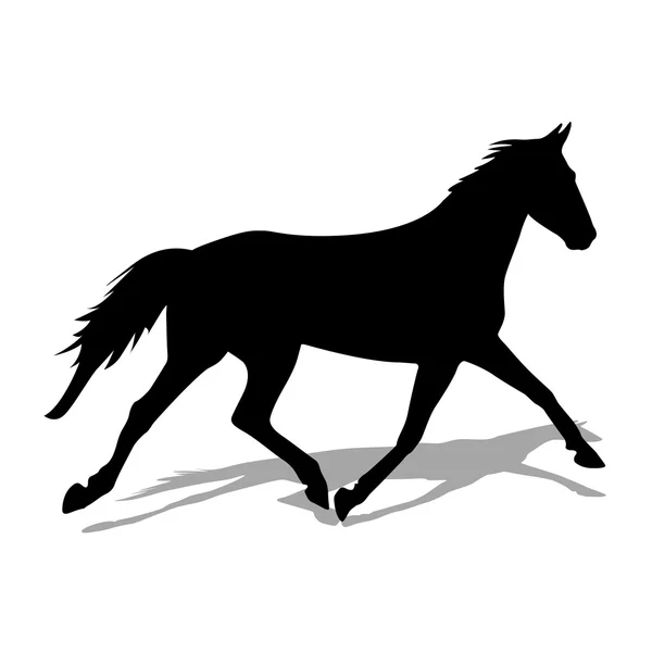 Vector silhouette of horse — Stock Vector