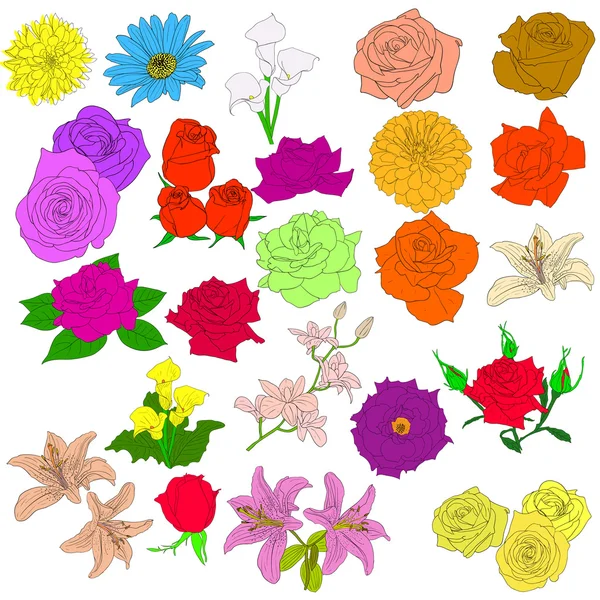 Set di rose in stile disegnato a mano. Illustrazione del vettore EPS 10. — Vettoriale Stock