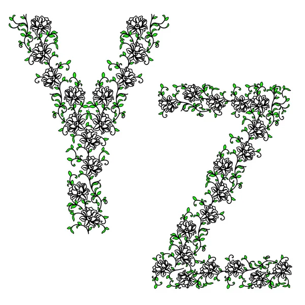 Alfabeto ornamental dibujado a mano. Letra YZ — Archivo Imágenes Vectoriales