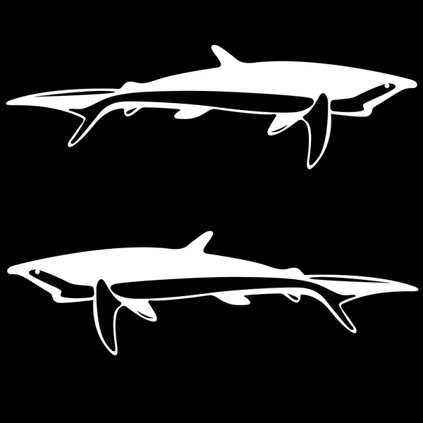 Requin, contour noir et blanc . — Image vectorielle