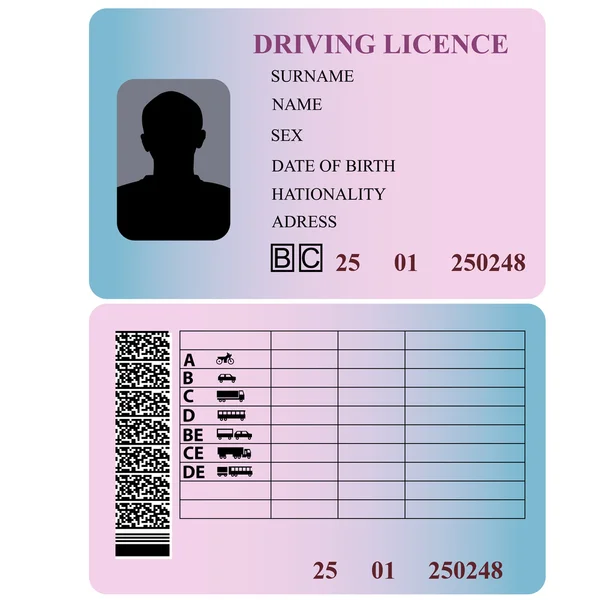 Driving license. — Stock Vector