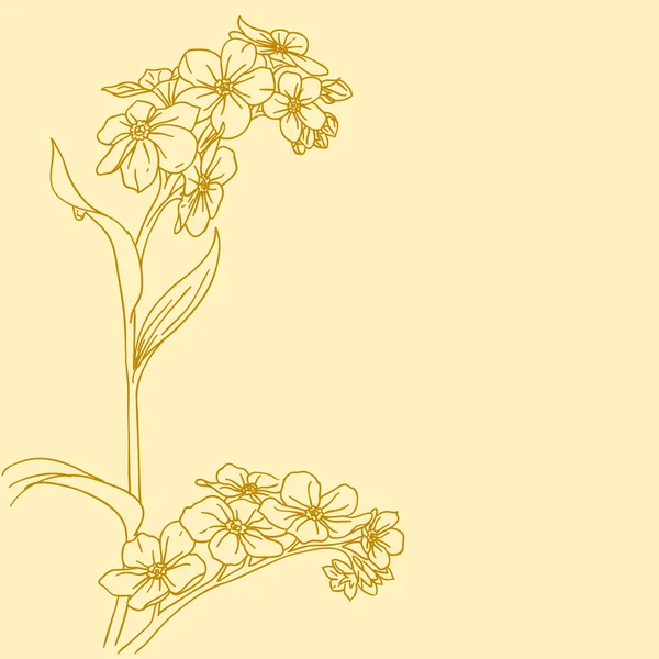 美丽的花，手工绘制的白色背景上 — 图库矢量图片