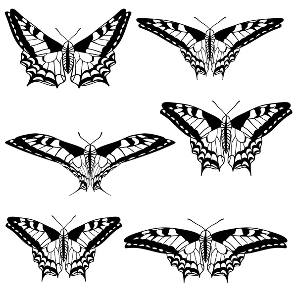 Conjunto vectorial de hermosas mariposas . — Archivo Imágenes Vectoriales