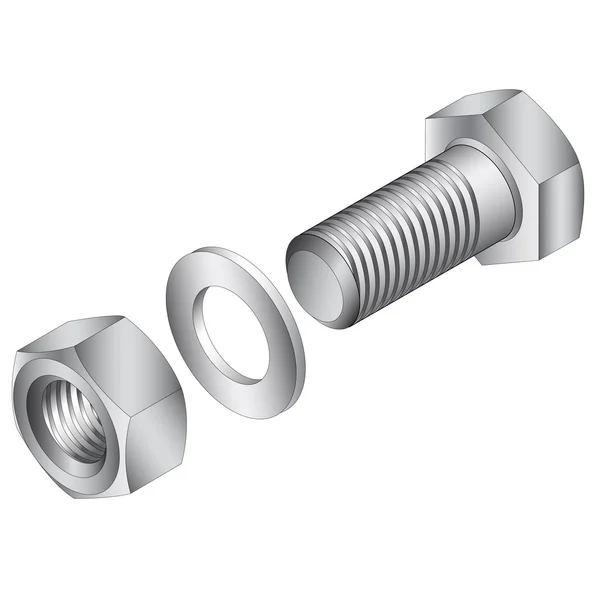 Stainless steel screw and nut. Vector illustration. — Stock Vector