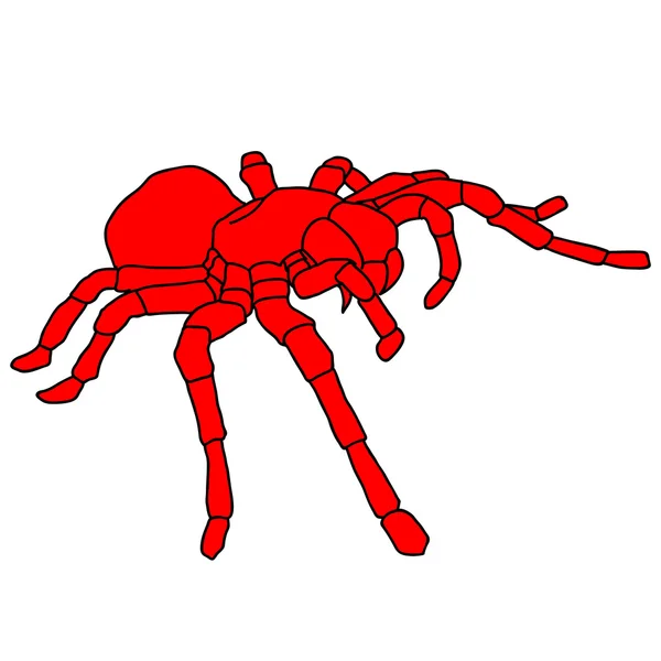 Tarántula de araña de tatuaje sobre fondo Blom — Vector de stock