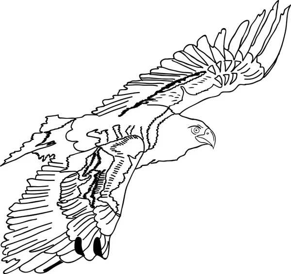 Negro silueta swooping tatuaje egle. Vector — Archivo Imágenes Vectoriales