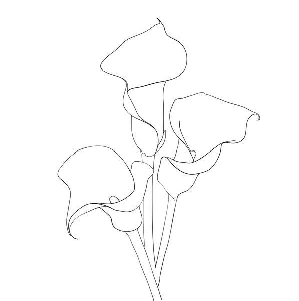 Elemento di design floreale e disegnato a mano, illustrazione vettoriale — Vettoriale Stock