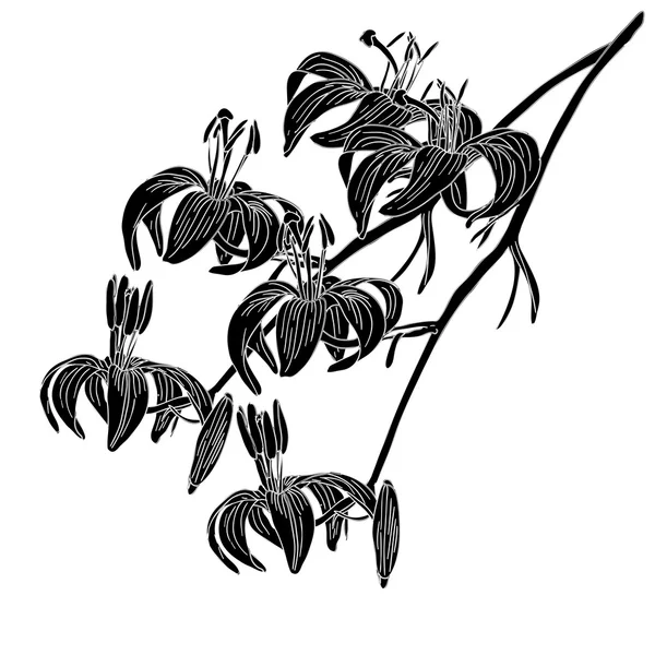 Zambak çiçeğini beyaz arkaplanda izole et — Stok Vektör