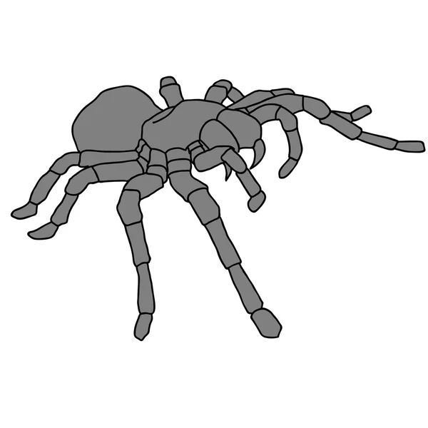 Tetování pavouk tarantula na pozadí Blom — Stockový vektor