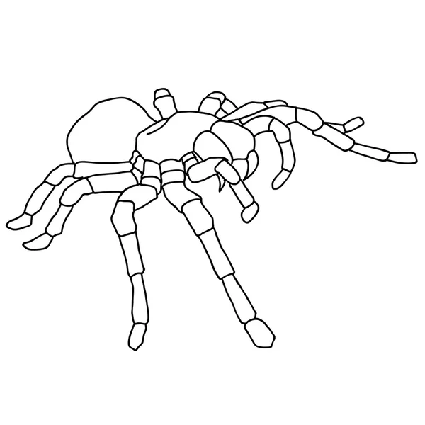 Tarántula de araña de tatuaje sobre fondo Blom — Vector de stock