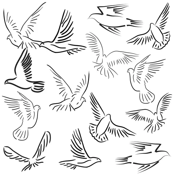 Set de palomas vectoriales blancas . — Vector de stock