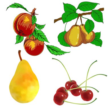 Armut meyveler vişne ve şeftali
