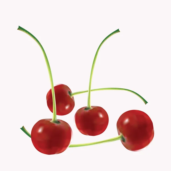 Cuatro apetitosas cerezas maduras — Vector de stock