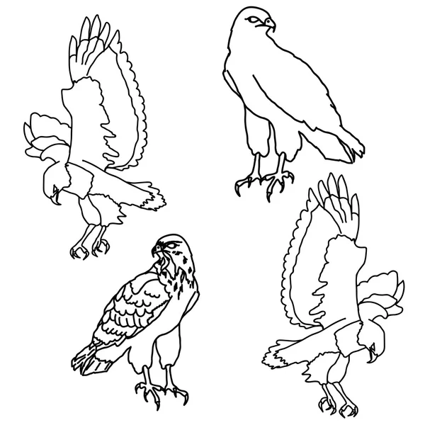 Символы орлов и татуировки — стоковый вектор