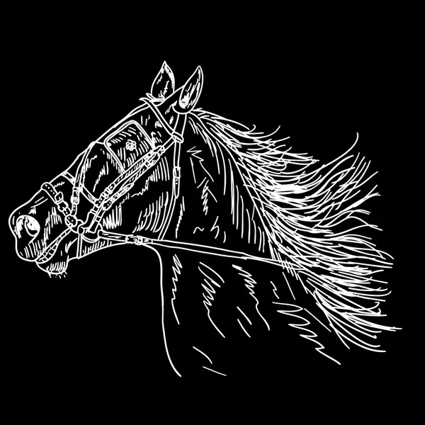 Caballo negro — Vector de stock