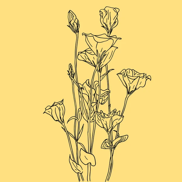 Vector flower background — Stock Vector
