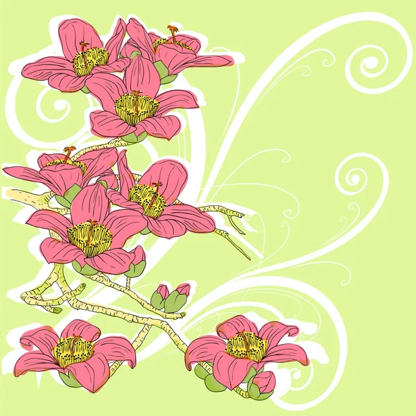 Tender twig blossoming orchids on a light background — Stock Vector