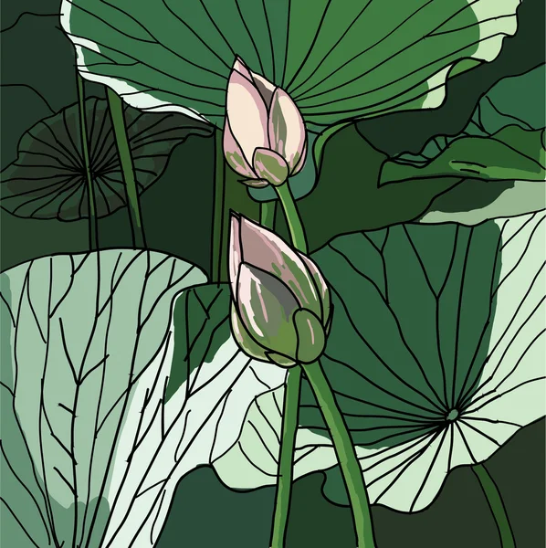 Realistiska orientaliska lotus - en blomma — ストックベクタ