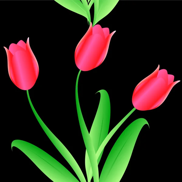 Elegantie naadloze kleurenpatroon tulpen — Stockvector