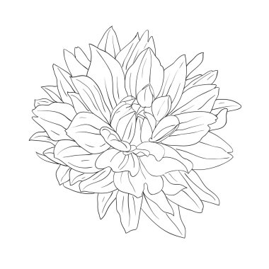 Çiçek tasarımı ögesi ve el çizimi, vektör illüstrasyonu