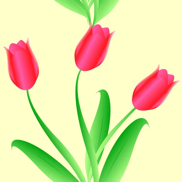 Elegância padrão de tulipas de cor sem costura — Vetor de Stock