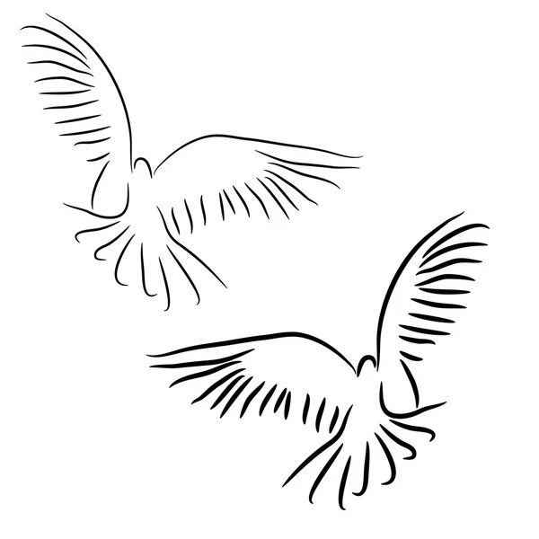 Conjunto de pombas vectoras brancas . —  Vetores de Stock