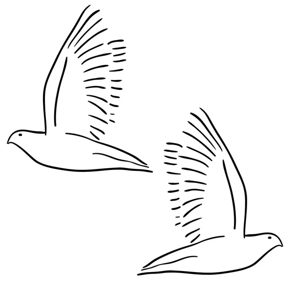 Concept van liefde of vrede. set van witte vector duiven. — Stockvector