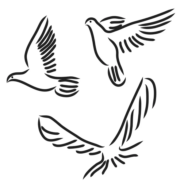 Conjunto de pombas vectoras brancas . —  Vetores de Stock