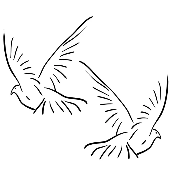 Set of white vector doves. — Stock Vector