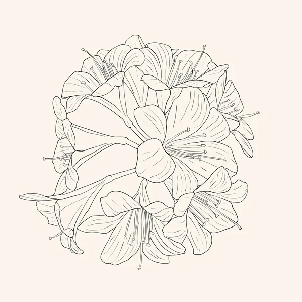 Fond floral avec des lis en fleurs — Image vectorielle