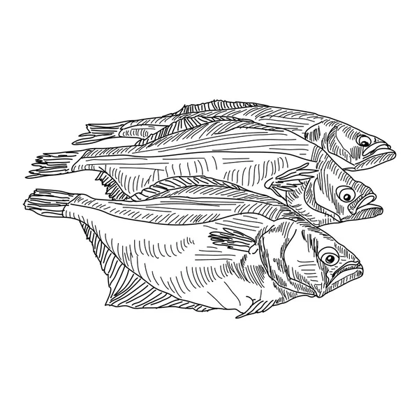 Vector dibujo mano pescado — Vector de stock