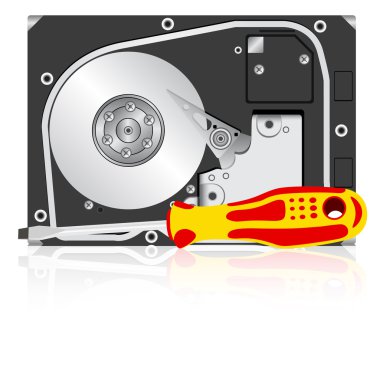 bilgisayar sabit disk sürücü ve tornavida.
