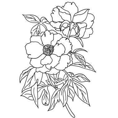 arka planda güzel çiçekler şık bir buket