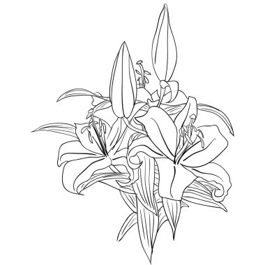 Çiçek tasarımı ögesi ve el çizimi, vektör illüstrasyonu