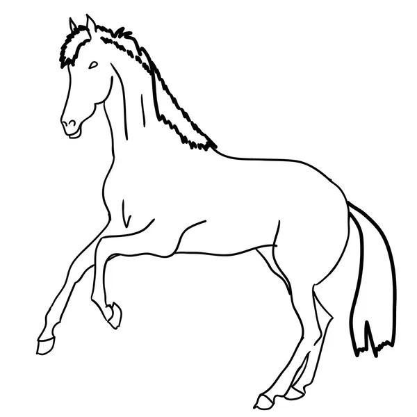 Černý kůň — Stockový vektor