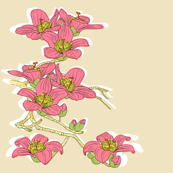 柔嫩的枝条在浅色背景上开花的兰花 — 图库矢量图片