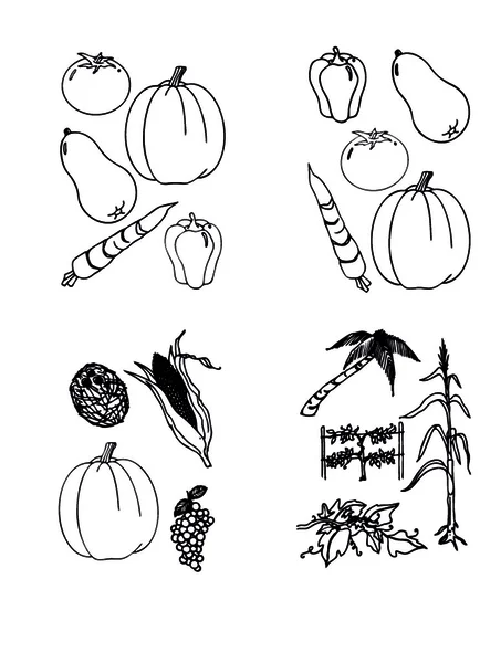 Διανυσματικά σύνολο - doodles - λαχανικά — Διανυσματικό Αρχείο