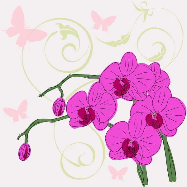 Twig blossoming orchids — Stock Vector